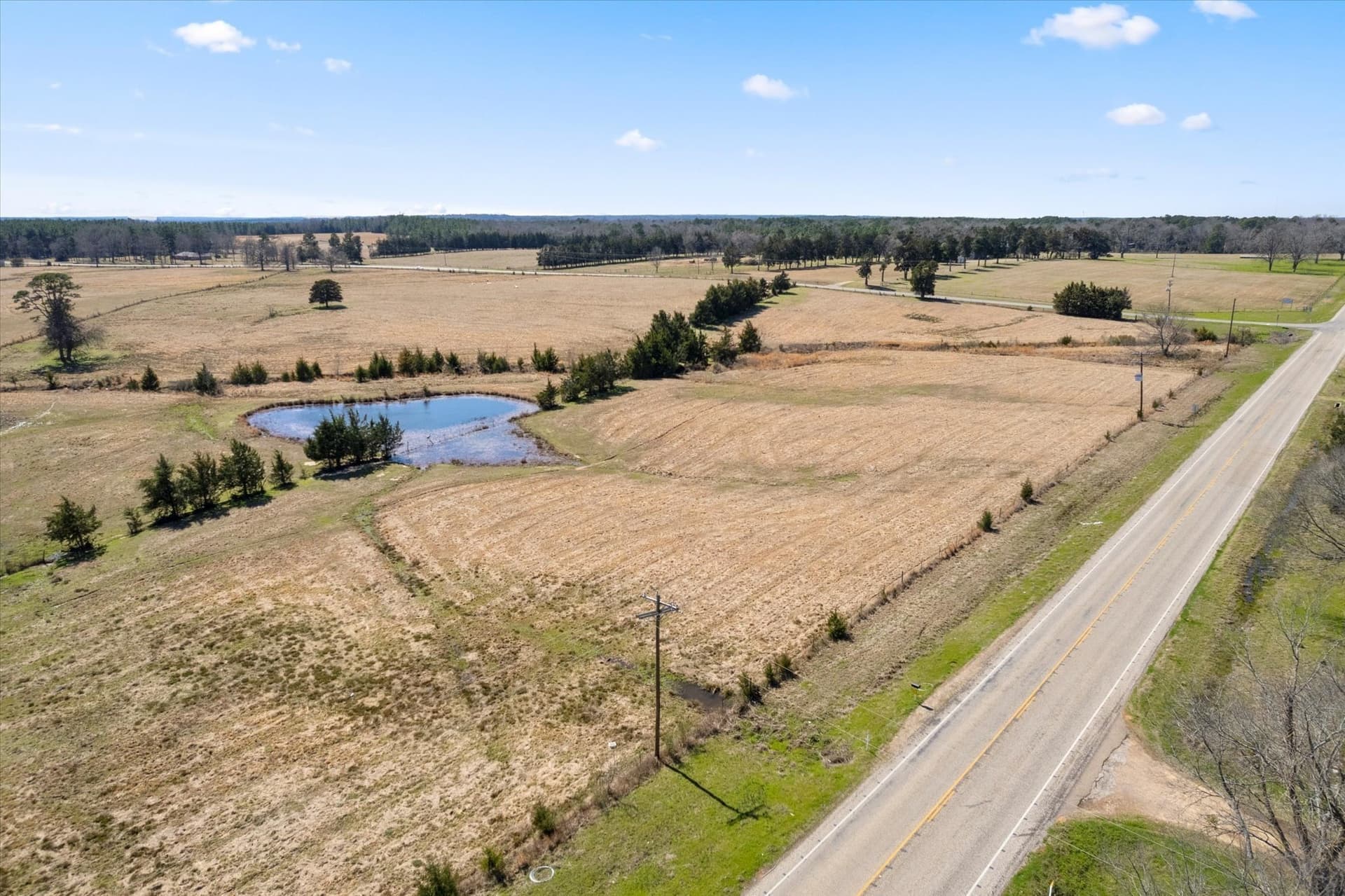 21.92 acres in Titus County - photo 17