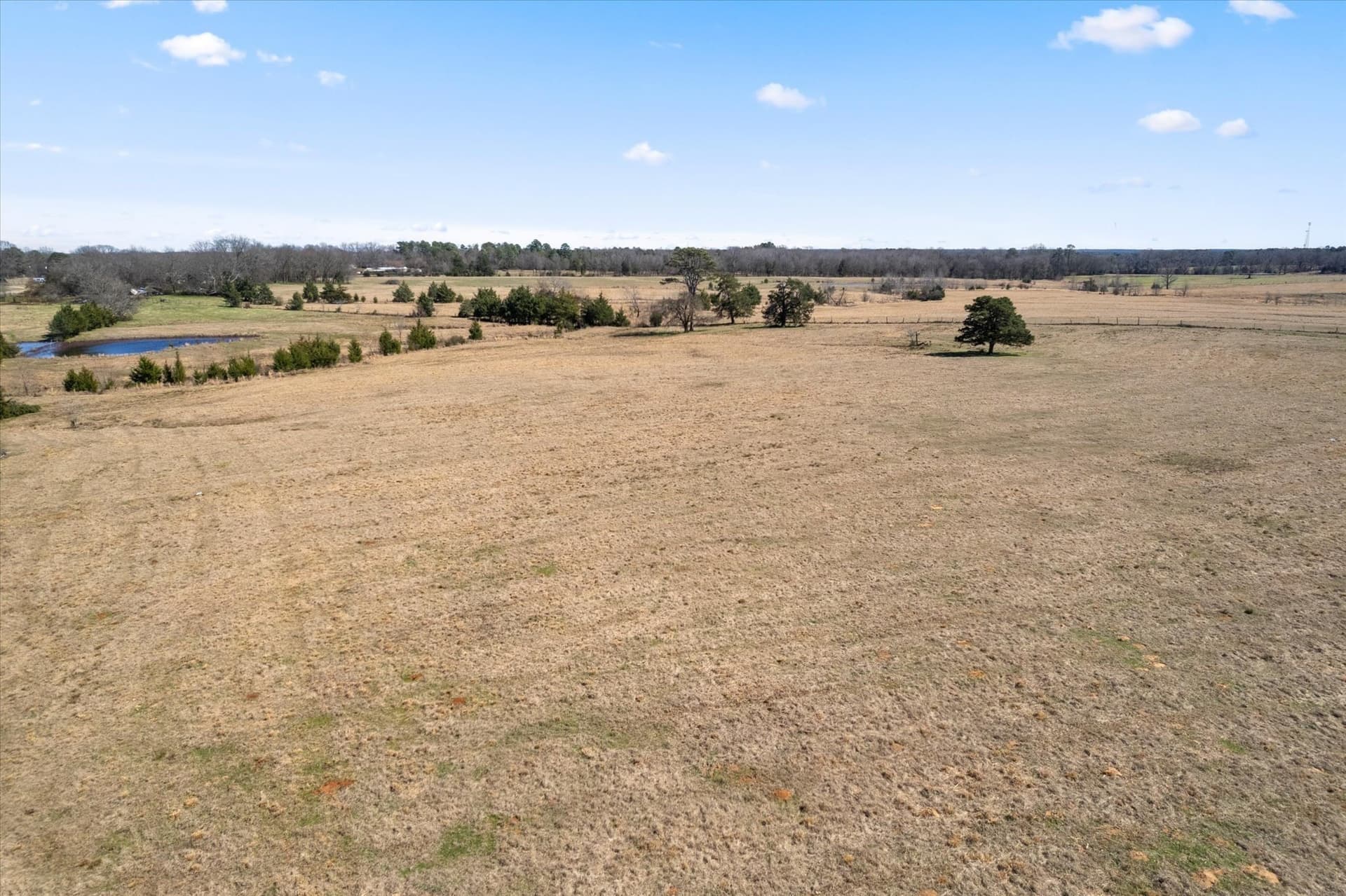 21.92 acres in Titus County - photo 13