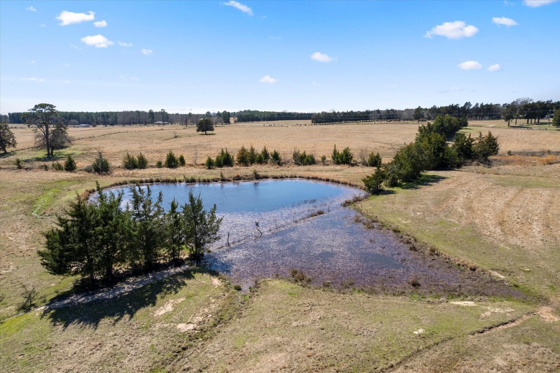 21.92 acres in Titus County - photo 8