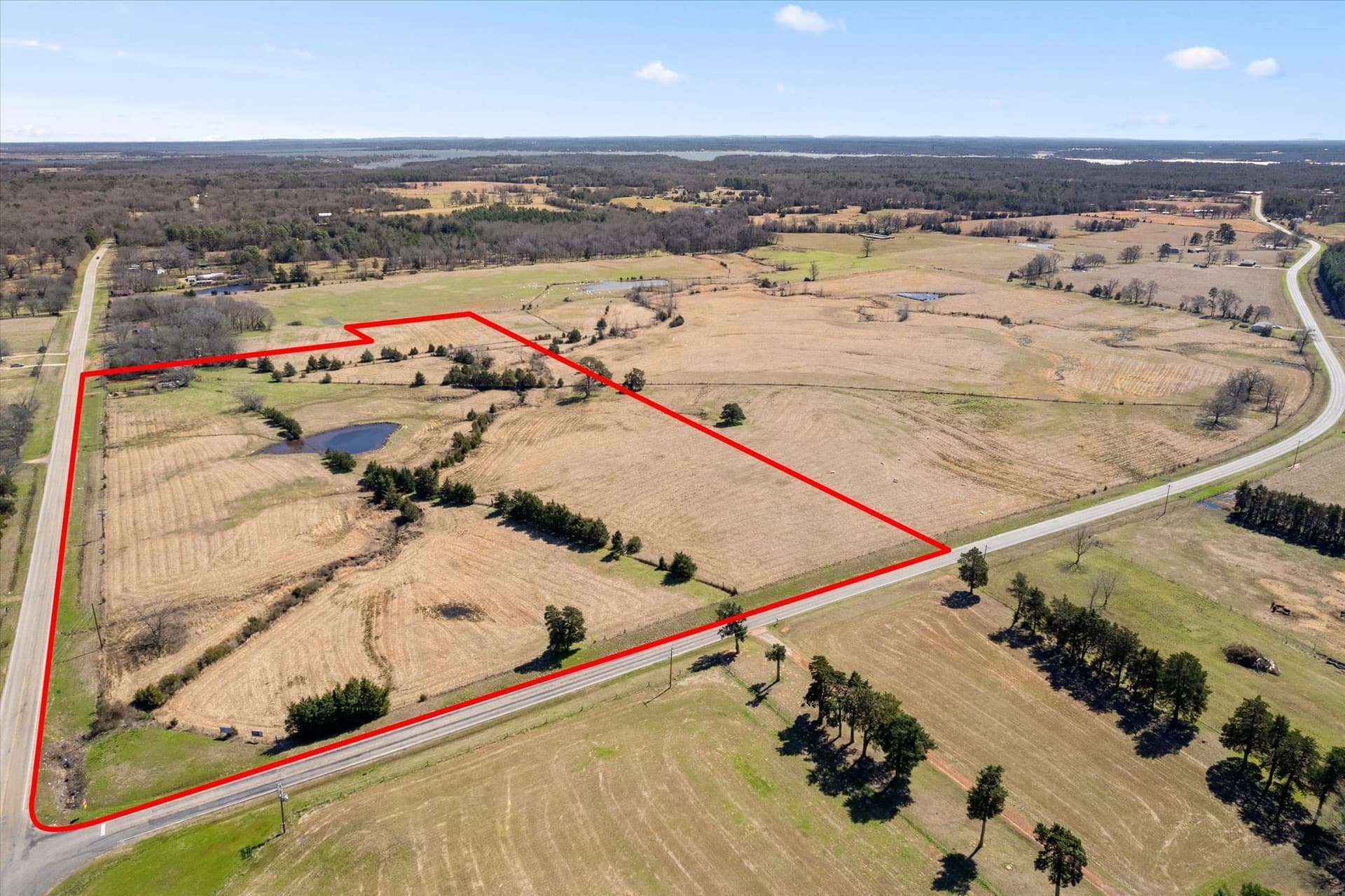 21.92 acres in Titus County - photo 6