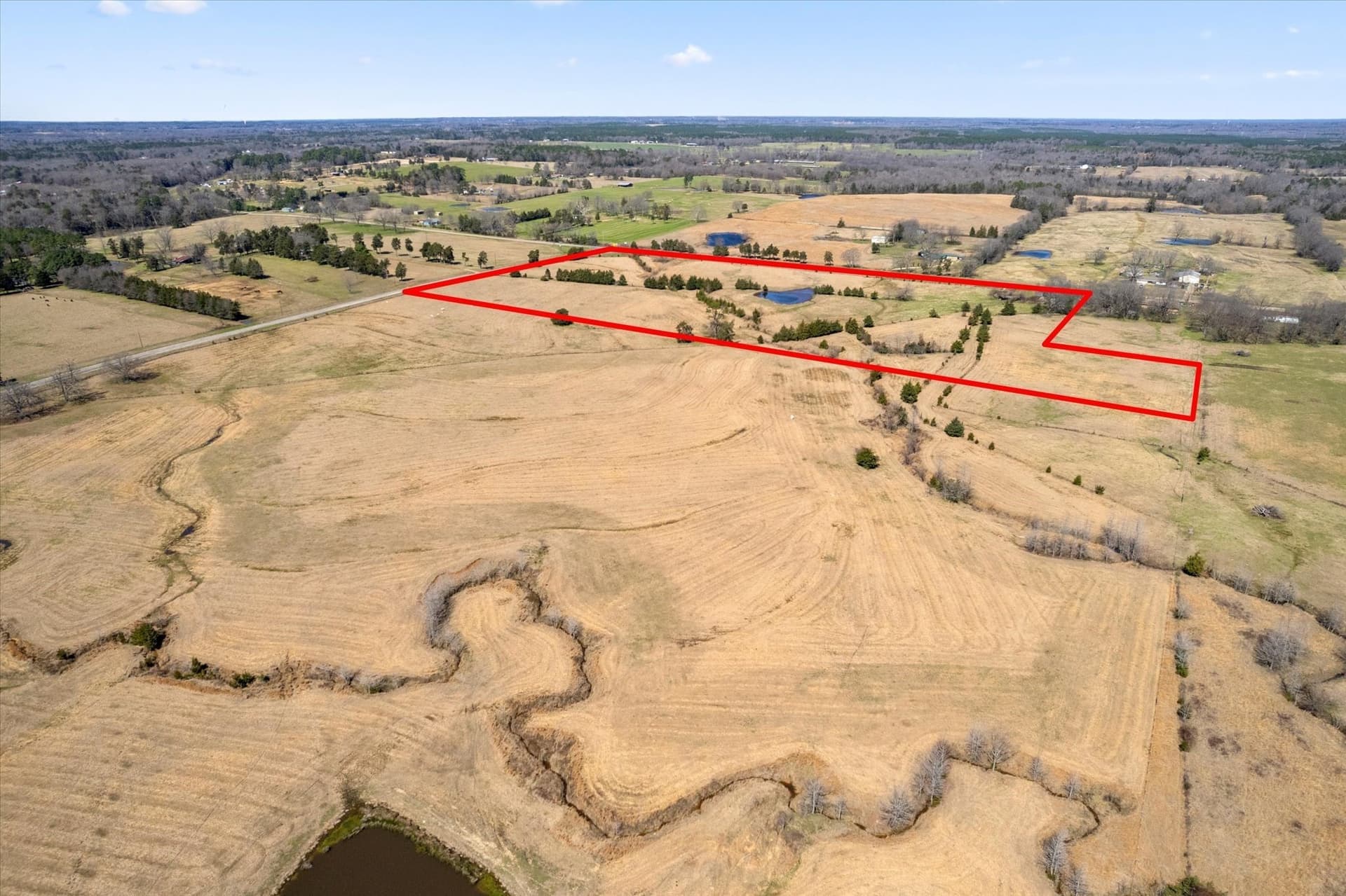 21.92 acres in Titus County - photo 4