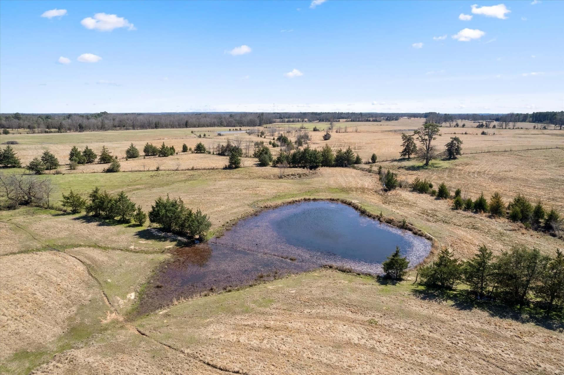 21.92 acres in Titus County - photo 9