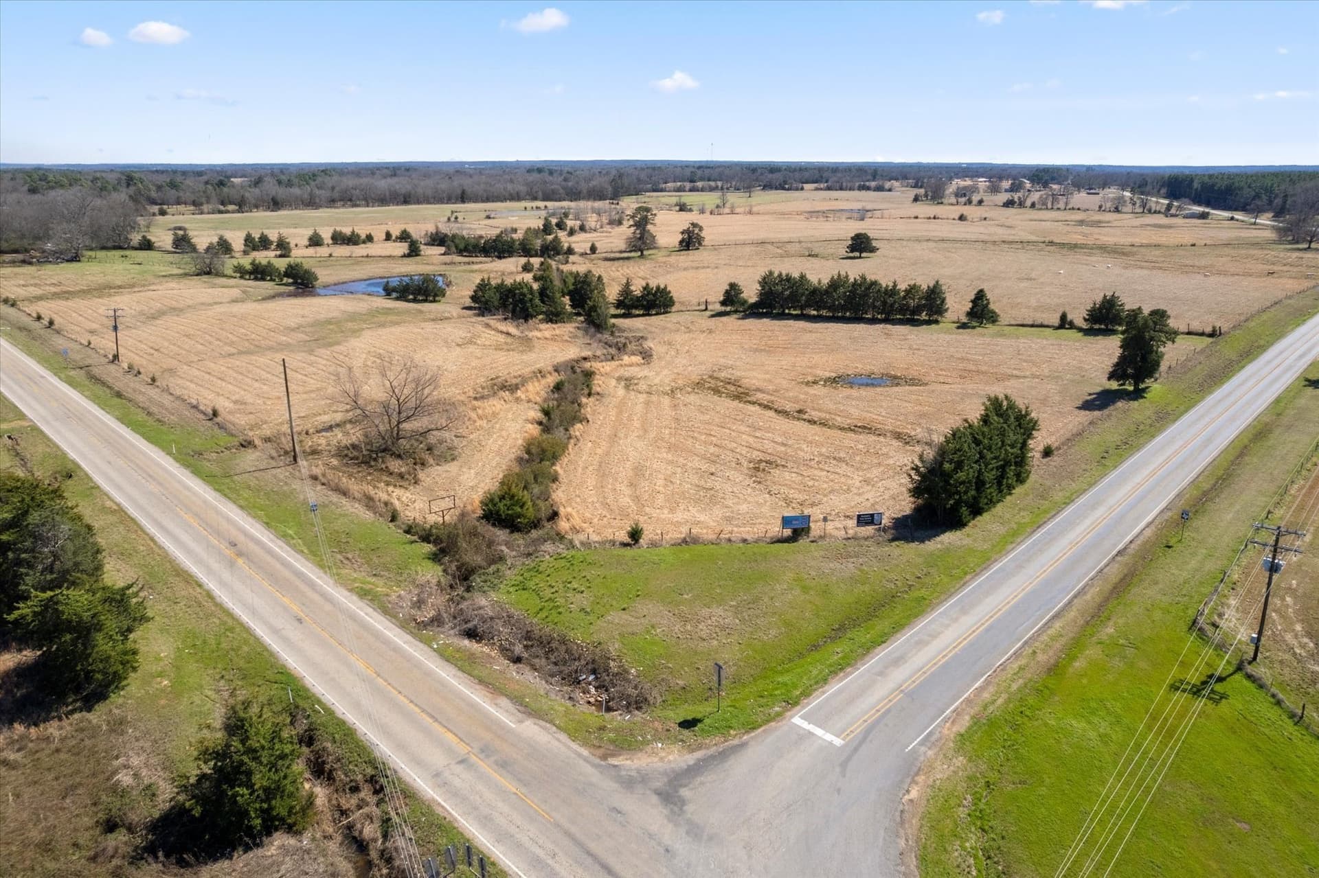 21.92 acres in Titus County - photo 16