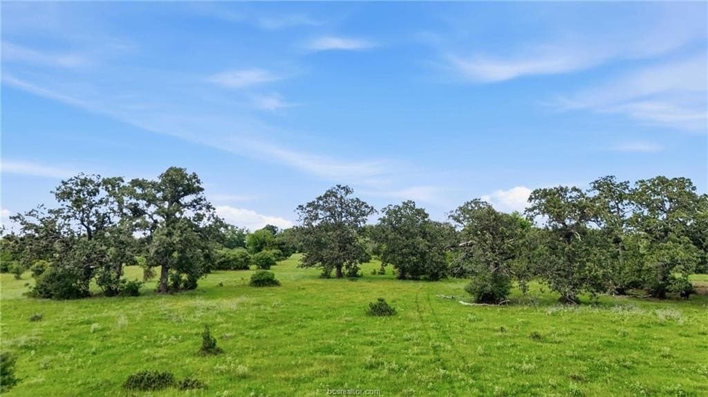 15.92 acres in Robertson County featured view