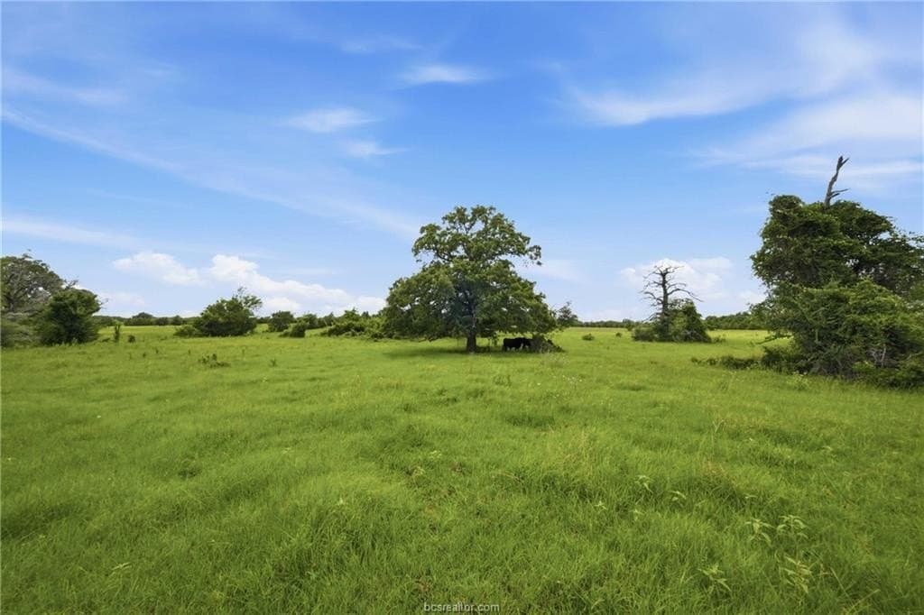 15.92 acres in Robertson County gallery image 4