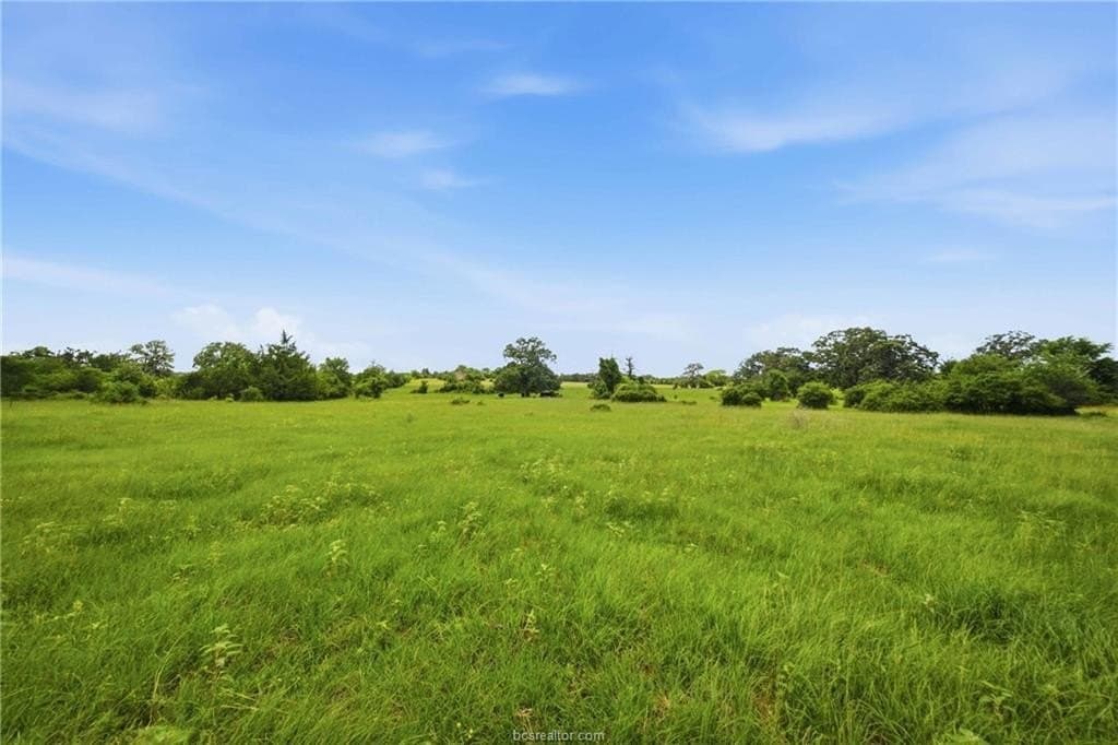 15.92 acres in Robertson County gallery image 3