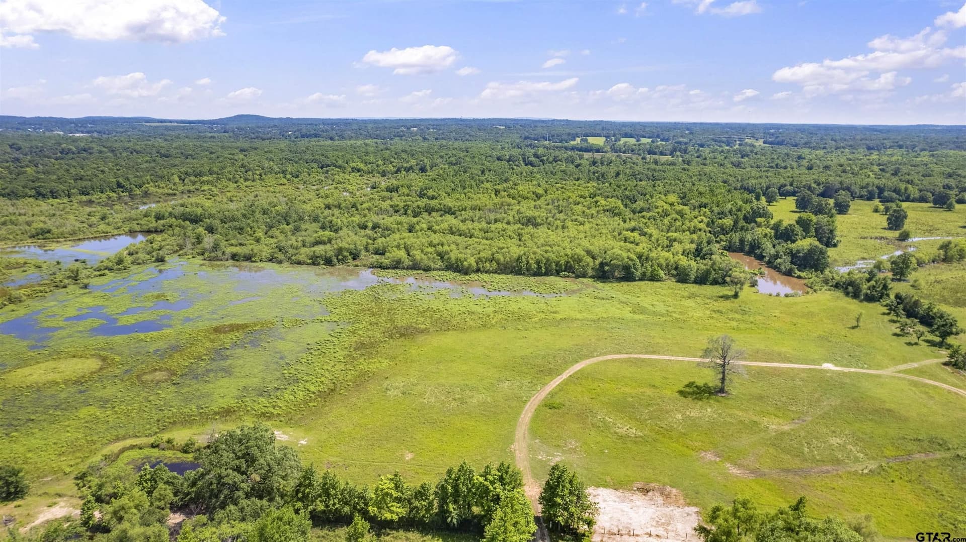 70.17 acres in Henderson County gallery image 3