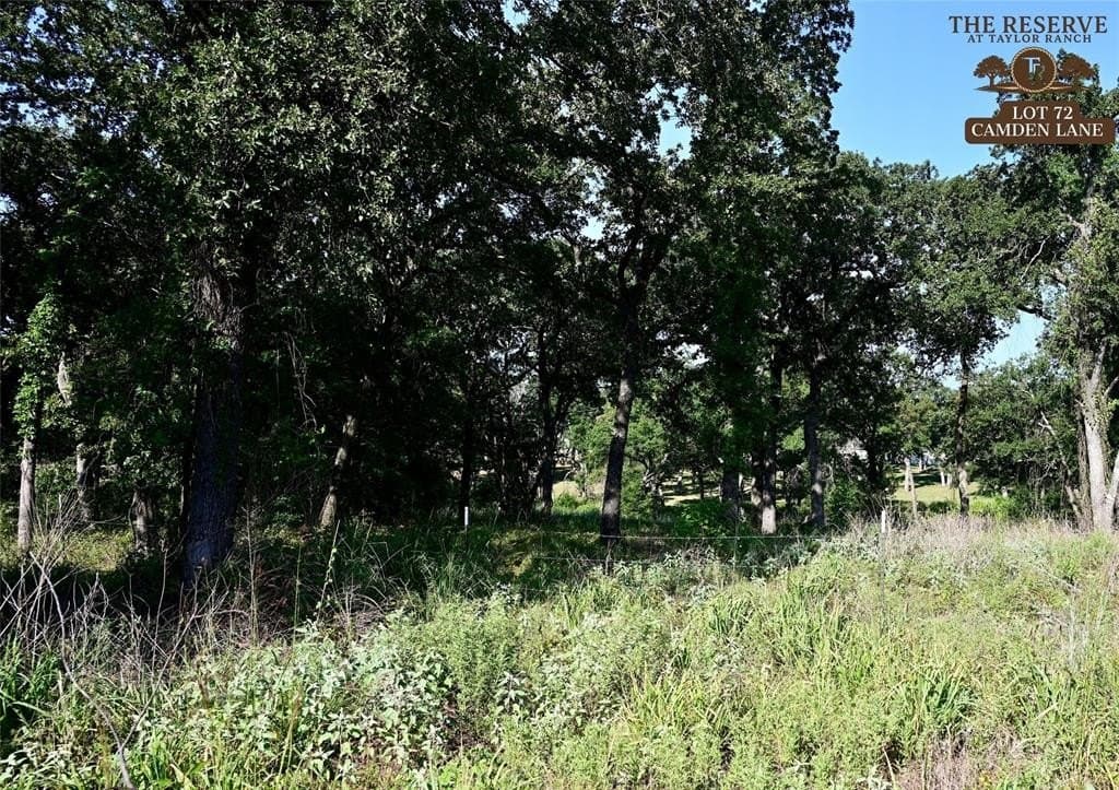 1.58 acres in Parker County gallery image 2