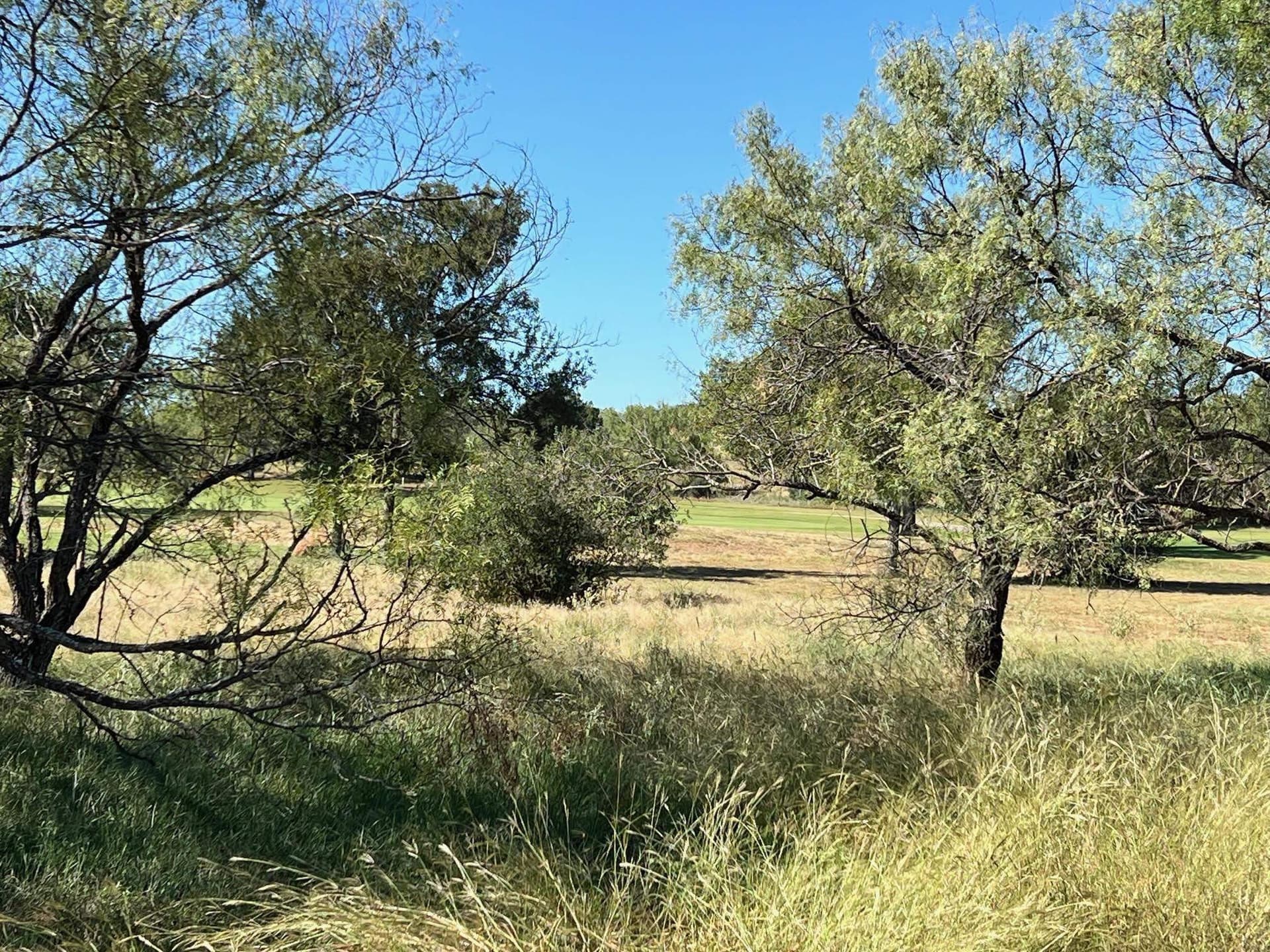 0.12 acres in Llano County gallery image 3