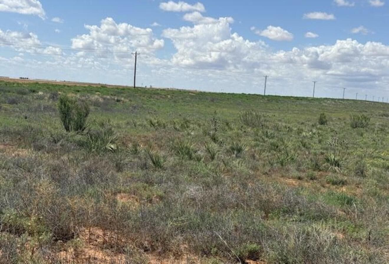 170 acres in Terry County gallery image 2