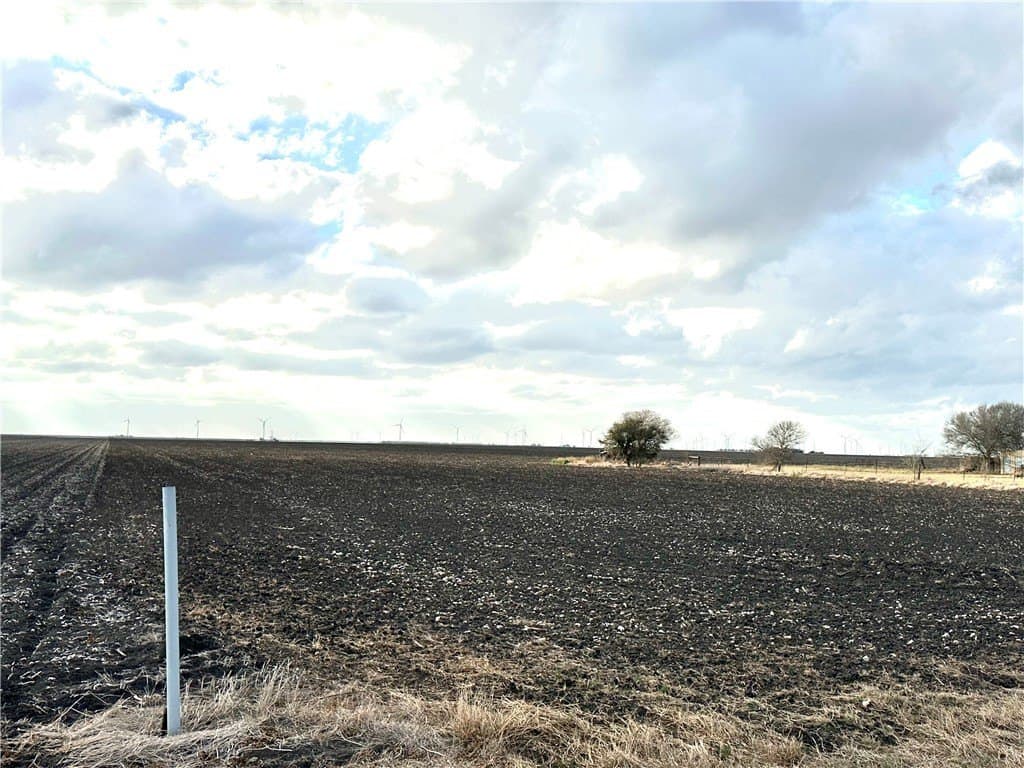 22.84 acres in San Patricio County gallery image 3