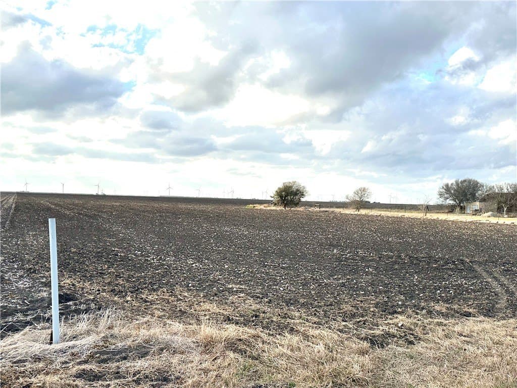 22.84 acres in San Patricio County gallery image 4
