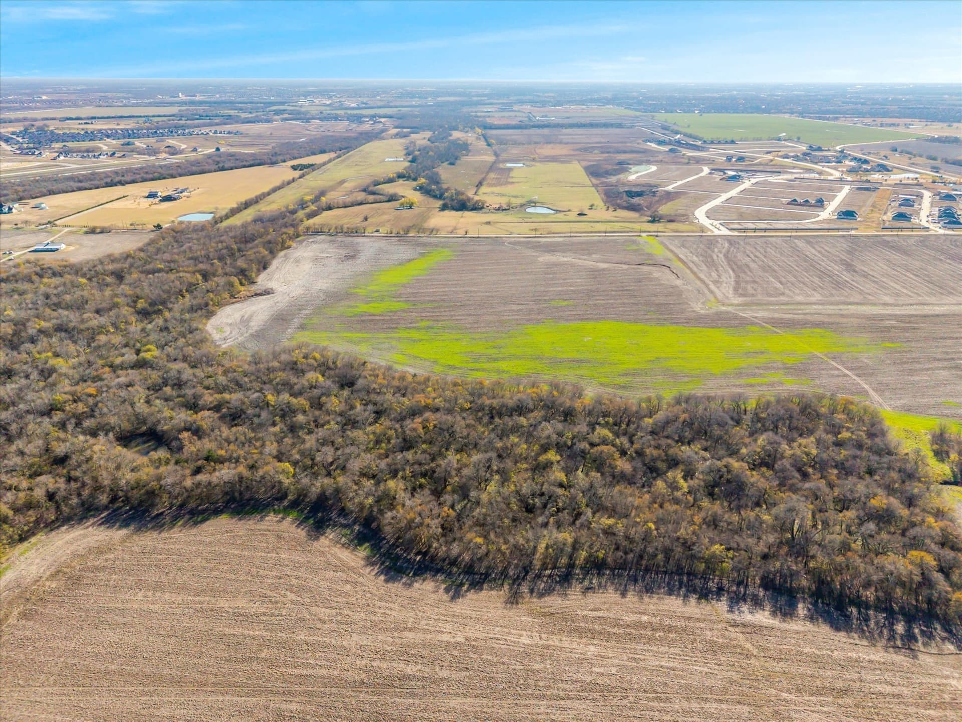 47 acres in Collin County gallery image 3