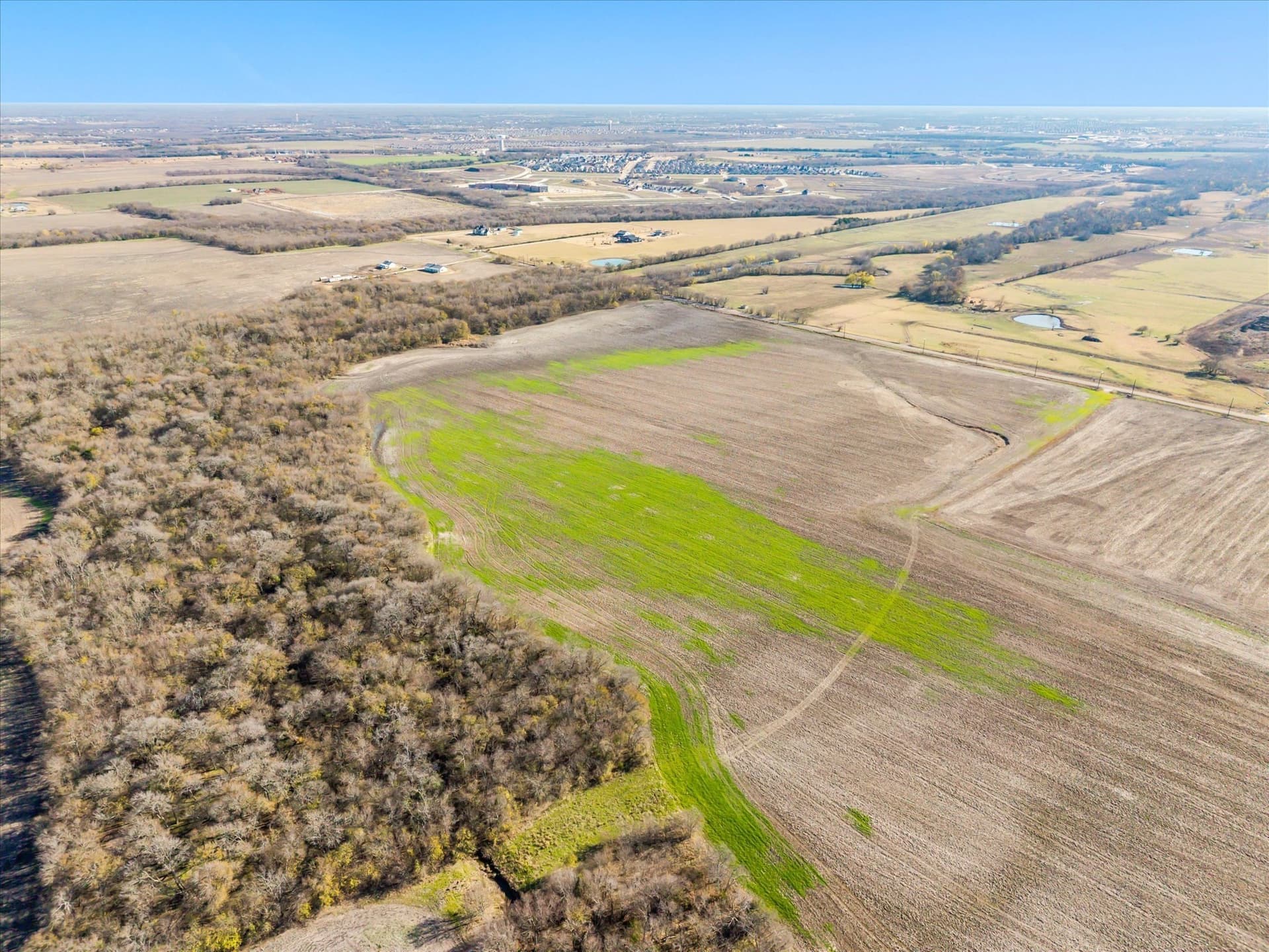 47 acres in Collin County gallery image 2