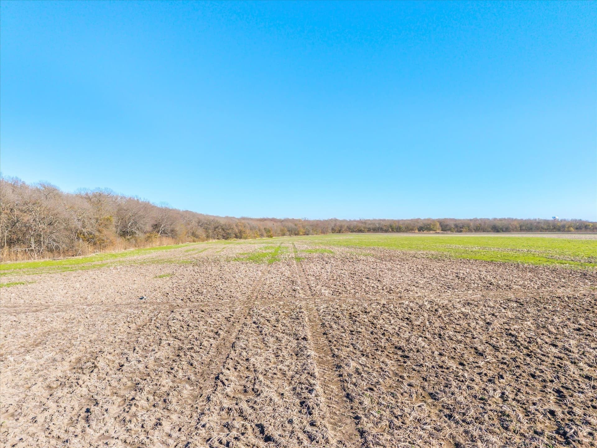 47 acres in Collin County - photo 8