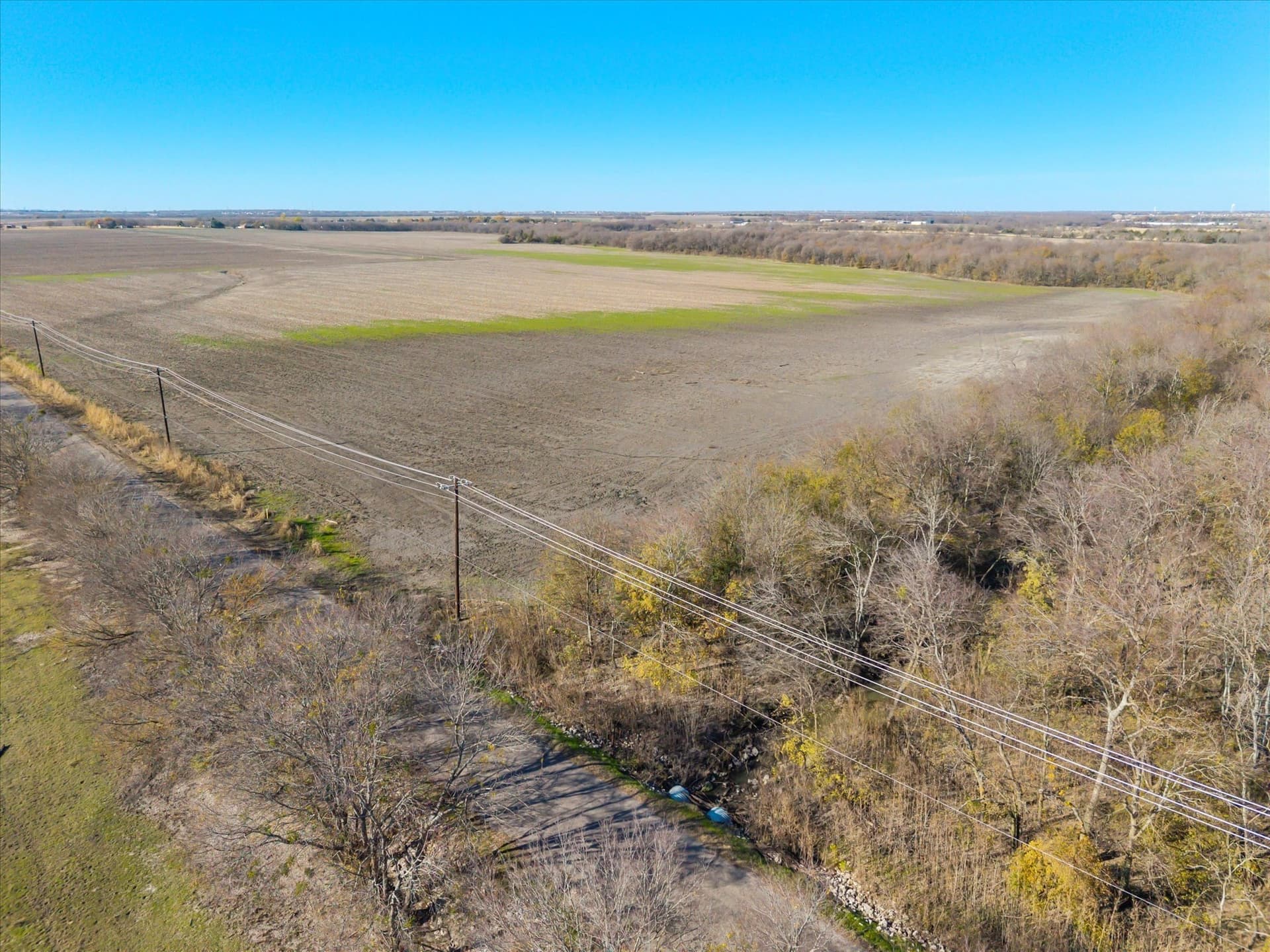 47 acres in Collin County gallery image 4