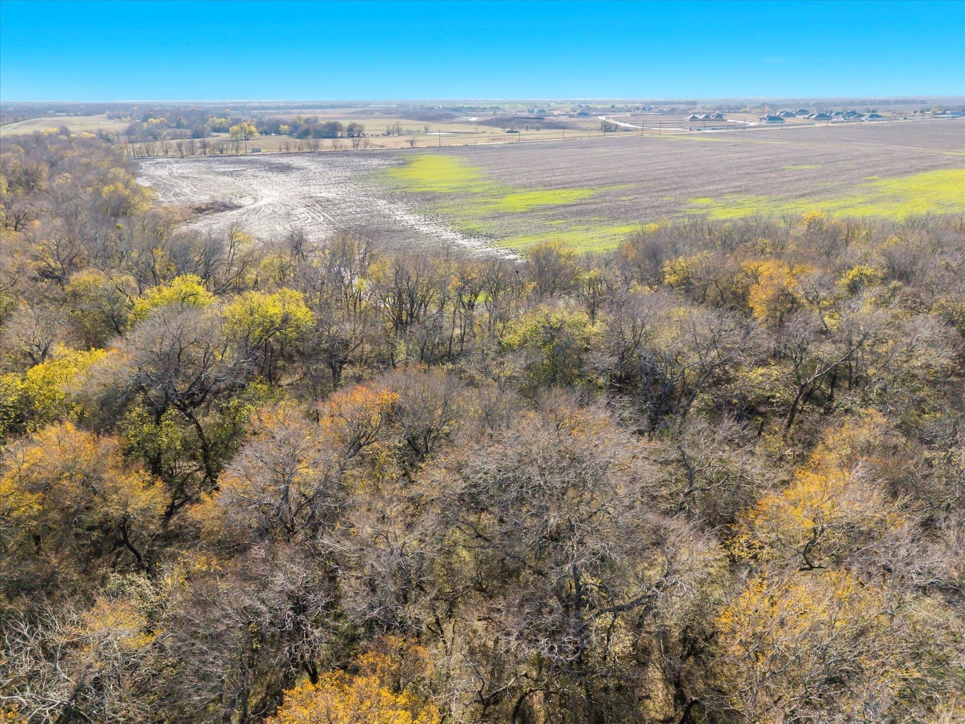 47 acres in Collin County - photo 7