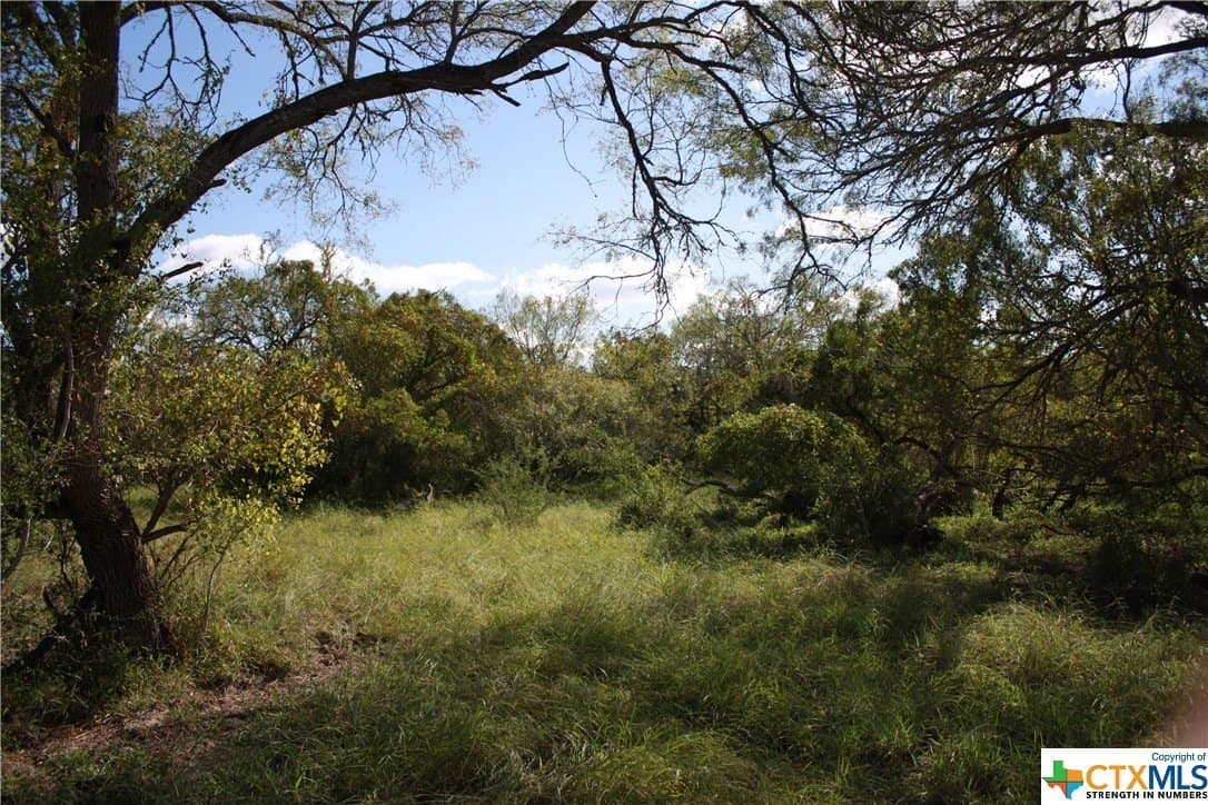 84.17 acres in San Patricio County - photo 11