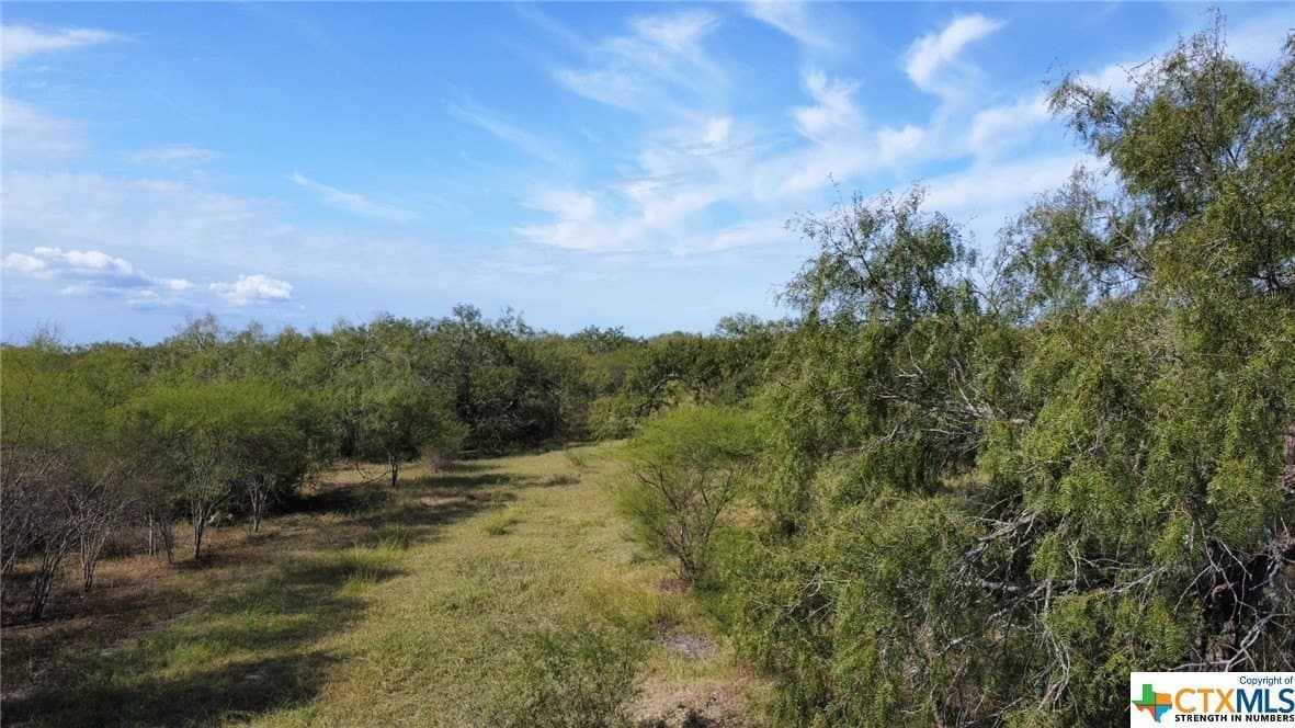 84.17 acres in San Patricio County - photo 18