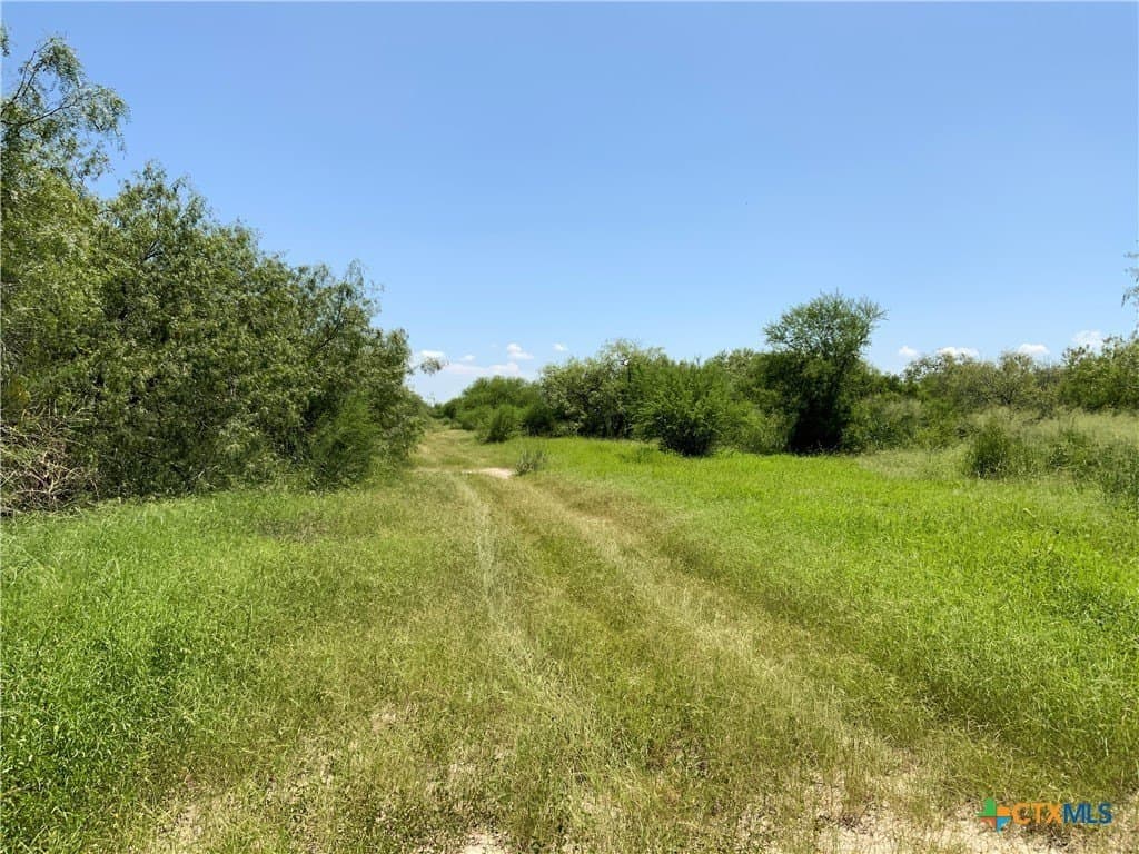 84.17 acres in San Patricio County - photo 7