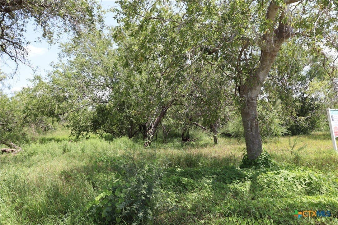 84.17 acres in San Patricio County - photo 30