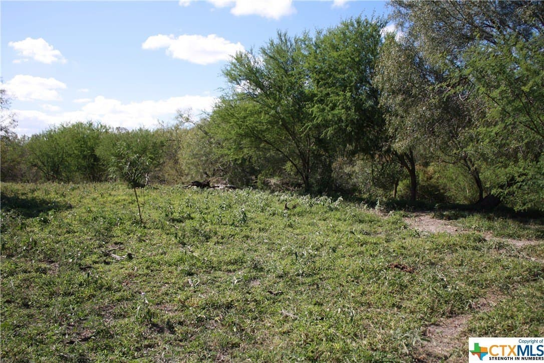 84.17 acres in San Patricio County - photo 14