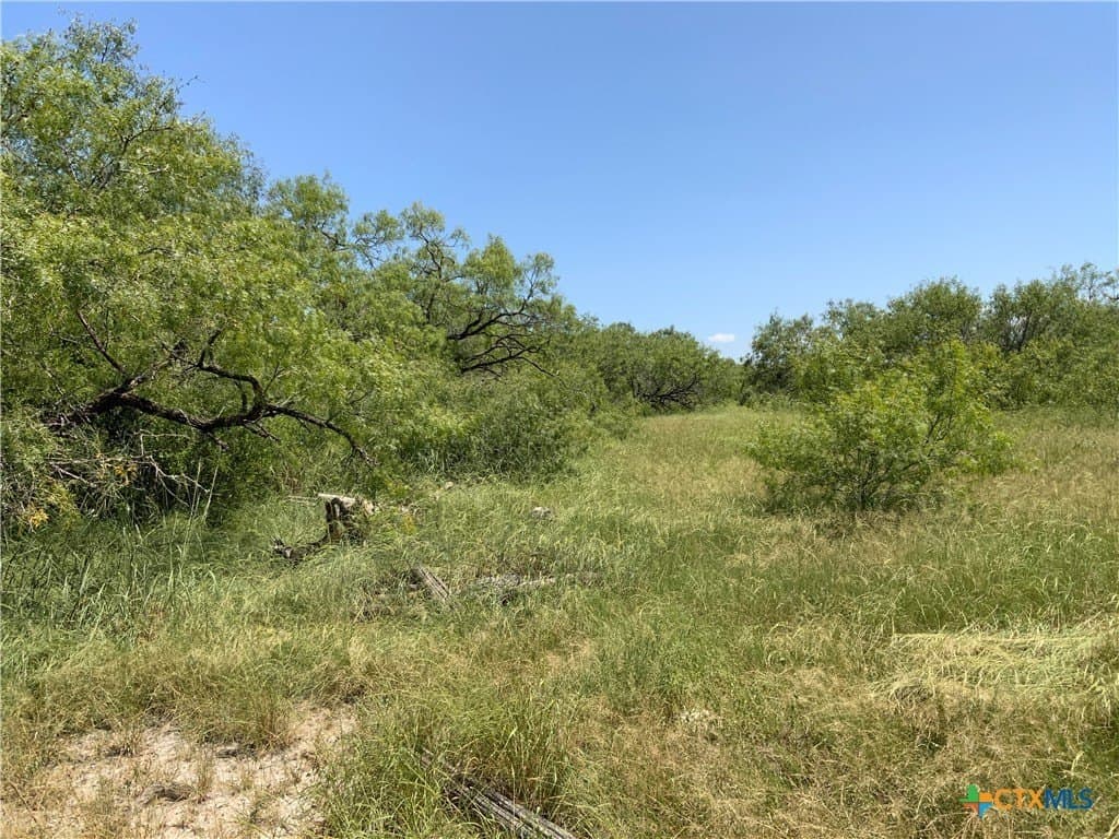 84.17 acres in San Patricio County - photo 27