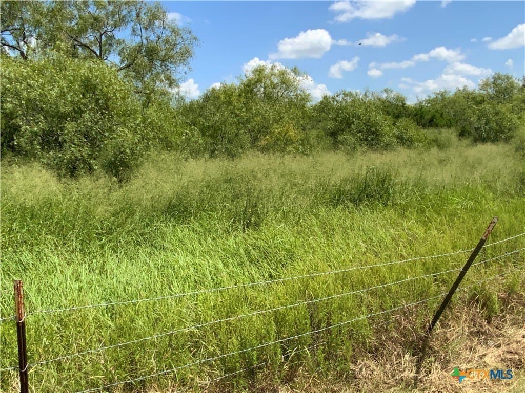 84.17 acres in San Patricio County gallery image 4