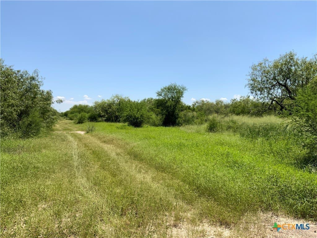 84.17 acres in San Patricio County - photo 24