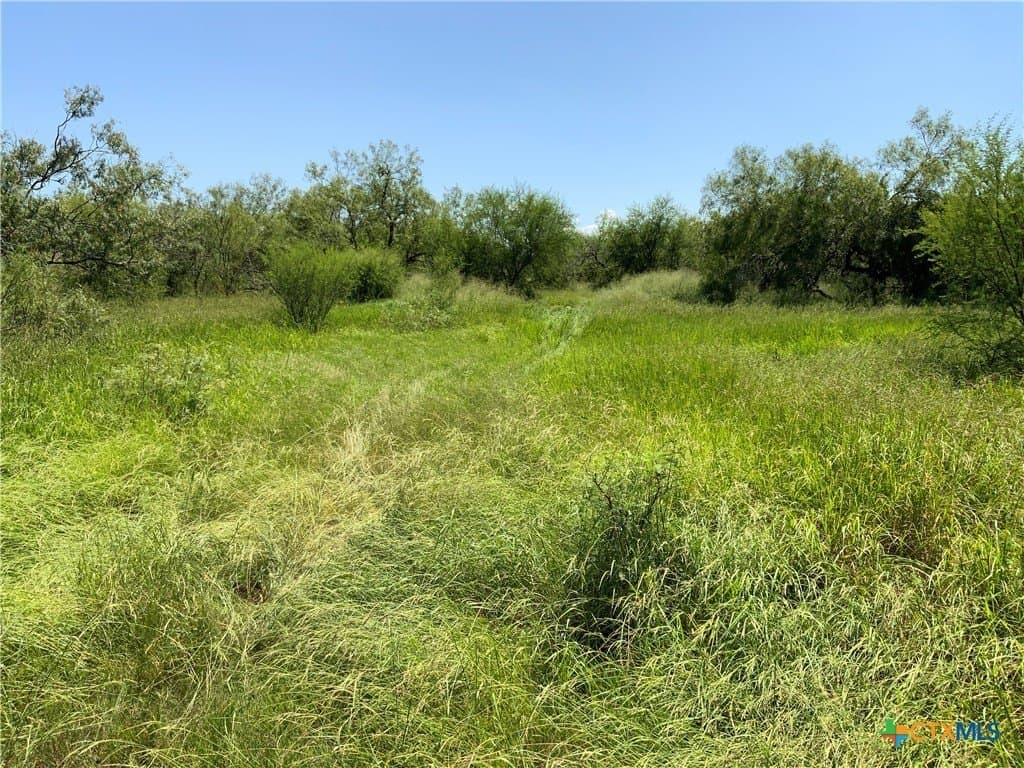 84.17 acres in San Patricio County gallery image 3