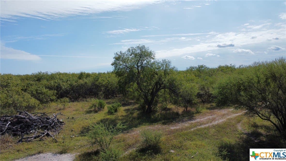 84.17 acres in San Patricio County - photo 17