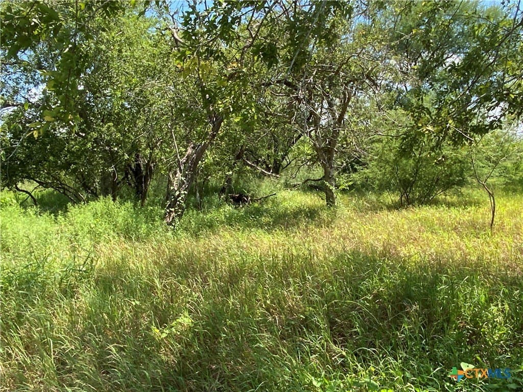 84.17 acres in San Patricio County - photo 19