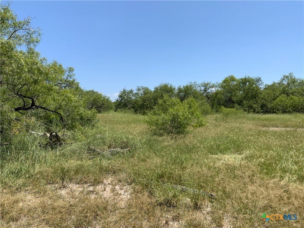 84.17 acres in San Patricio County - photo 26