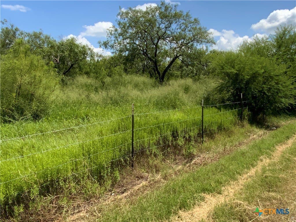 84.17 acres in San Patricio County - photo 21