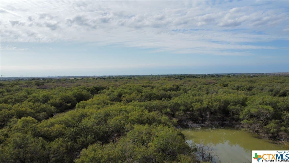 84.17 acres in San Patricio County - photo 15