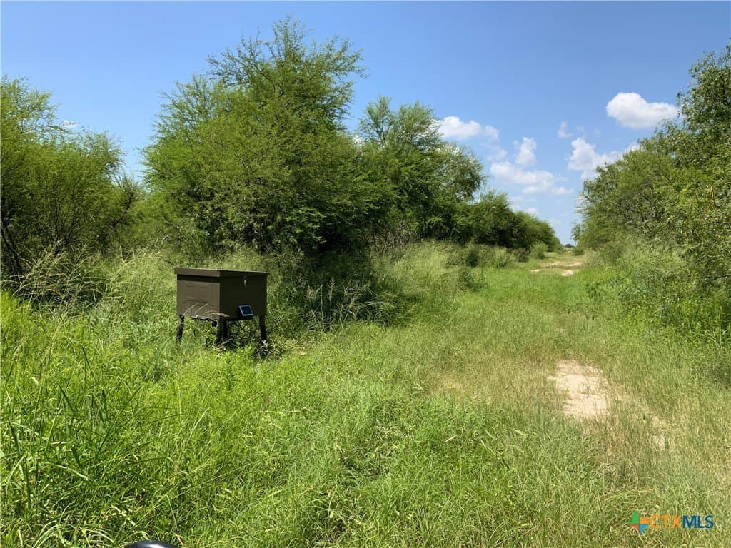 84.17 acres in San Patricio County