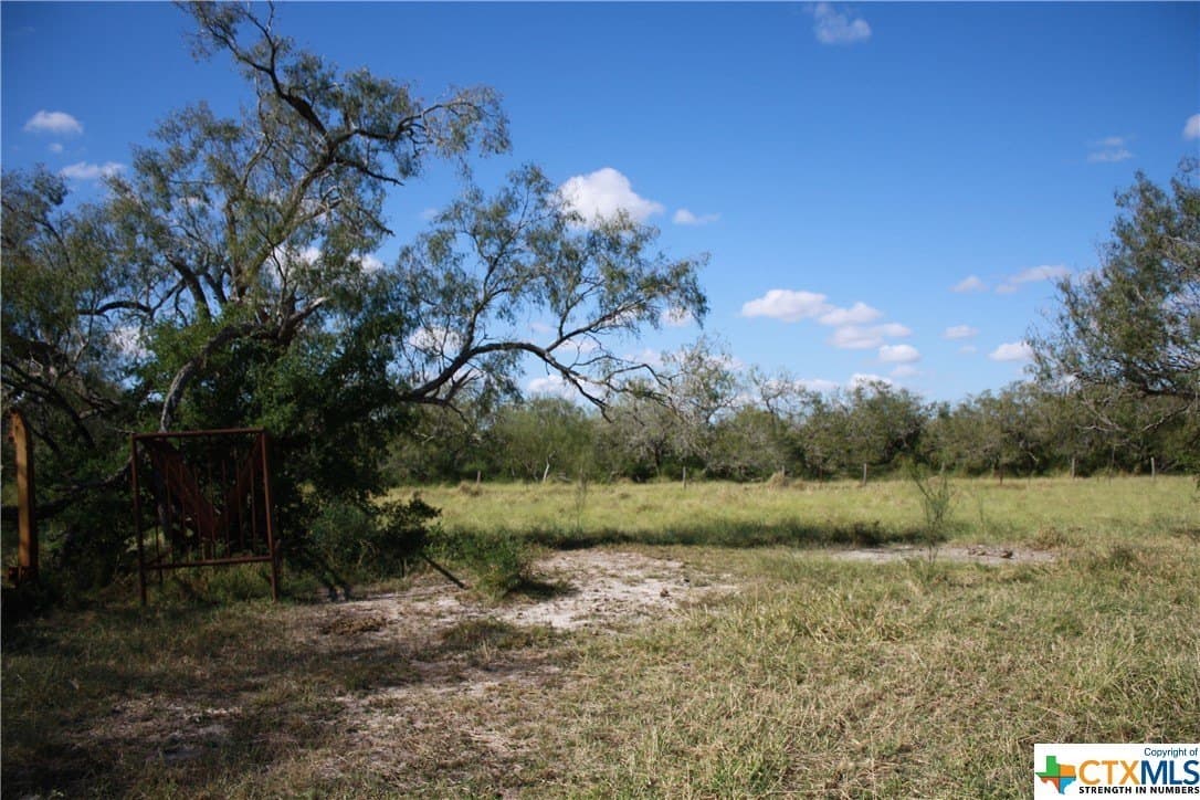 84.17 acres in San Patricio County - photo 13