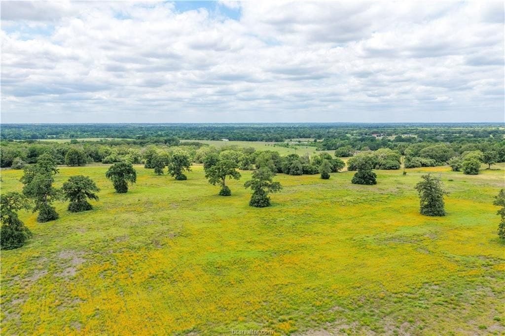 26 acres in Burleson County gallery image 3