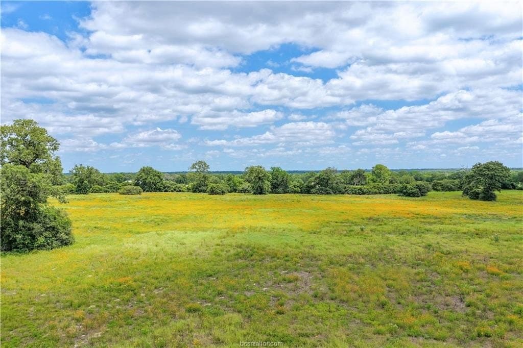 26 acres in Burleson County gallery image 4