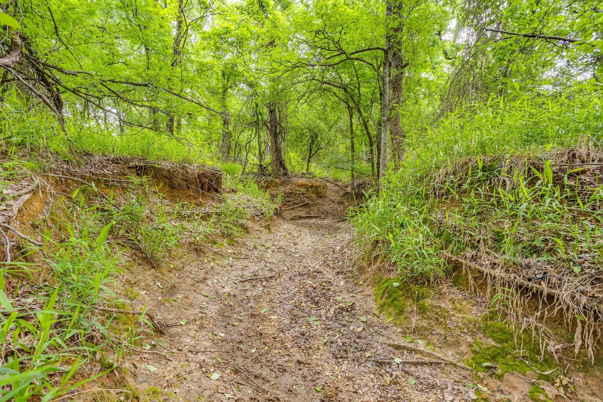 86.99 acres in Jack County - photo 26