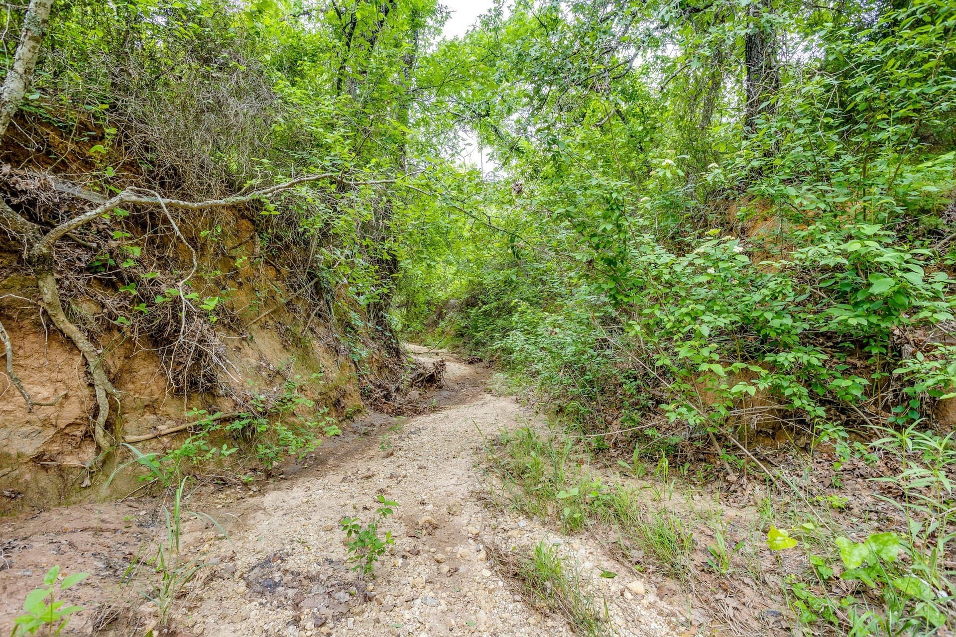 86.99 acres in Jack County - photo 22