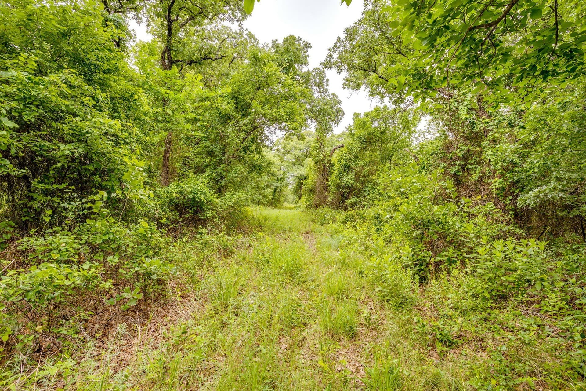 86.99 acres in Jack County - photo 25