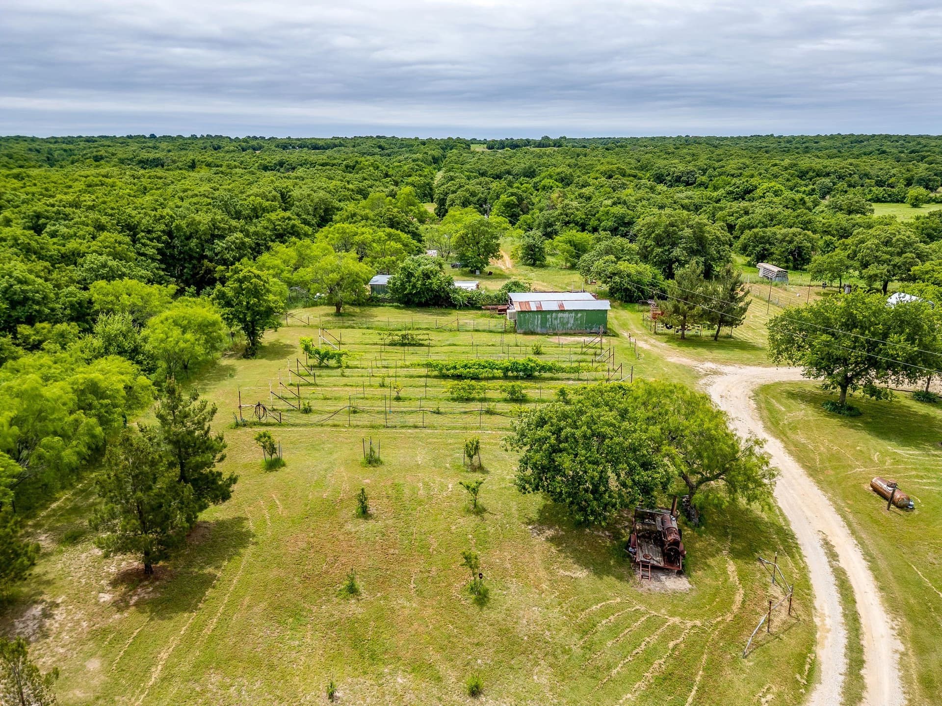 86.99 acres in Jack County gallery image 4