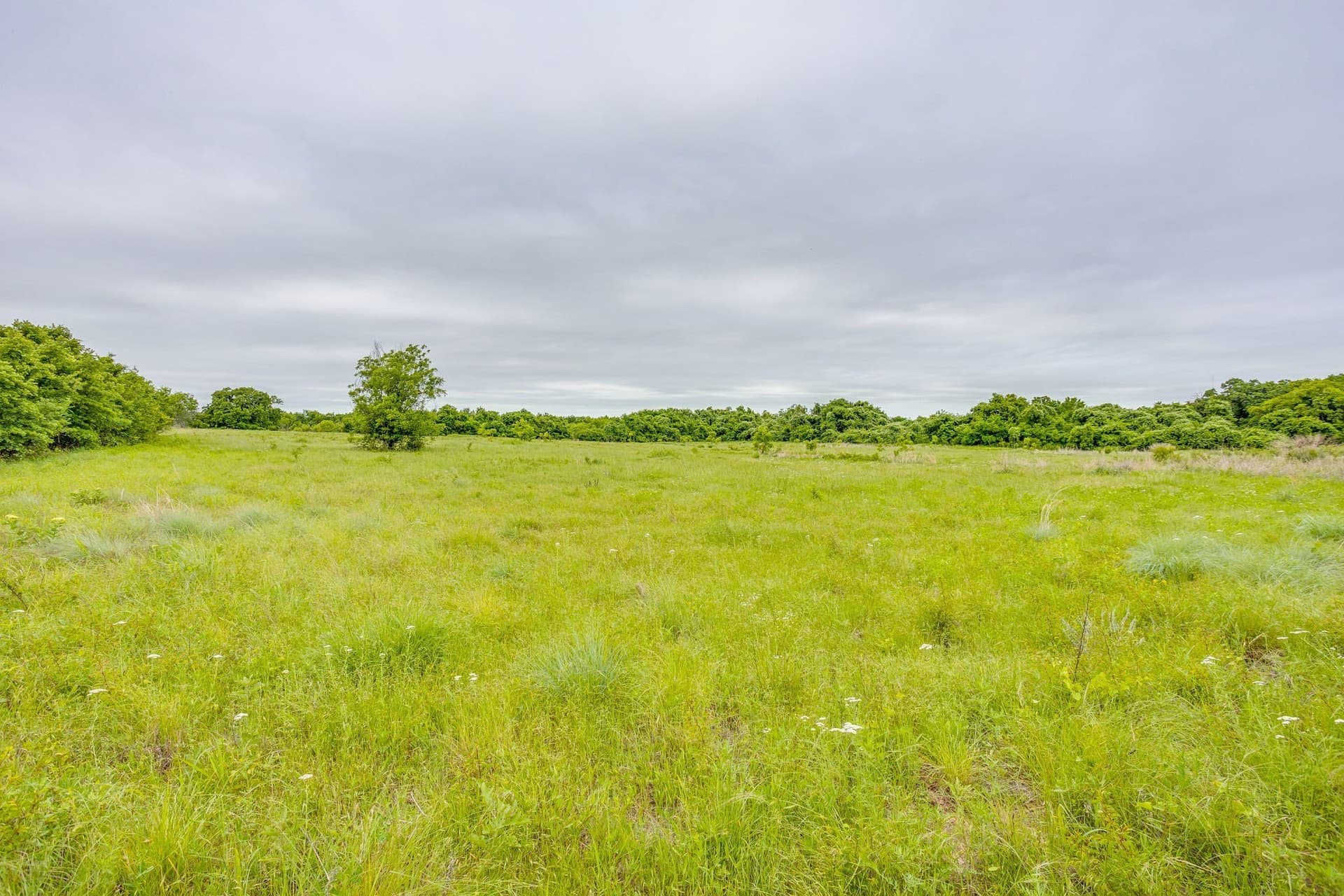 86.99 acres in Jack County - photo 23
