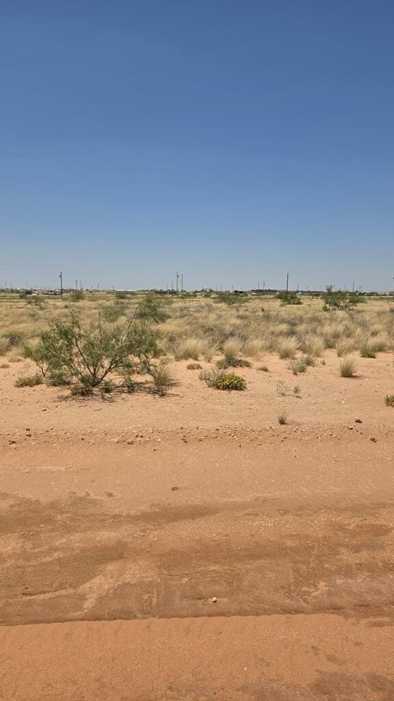 1 acres in Midland County - photo 4