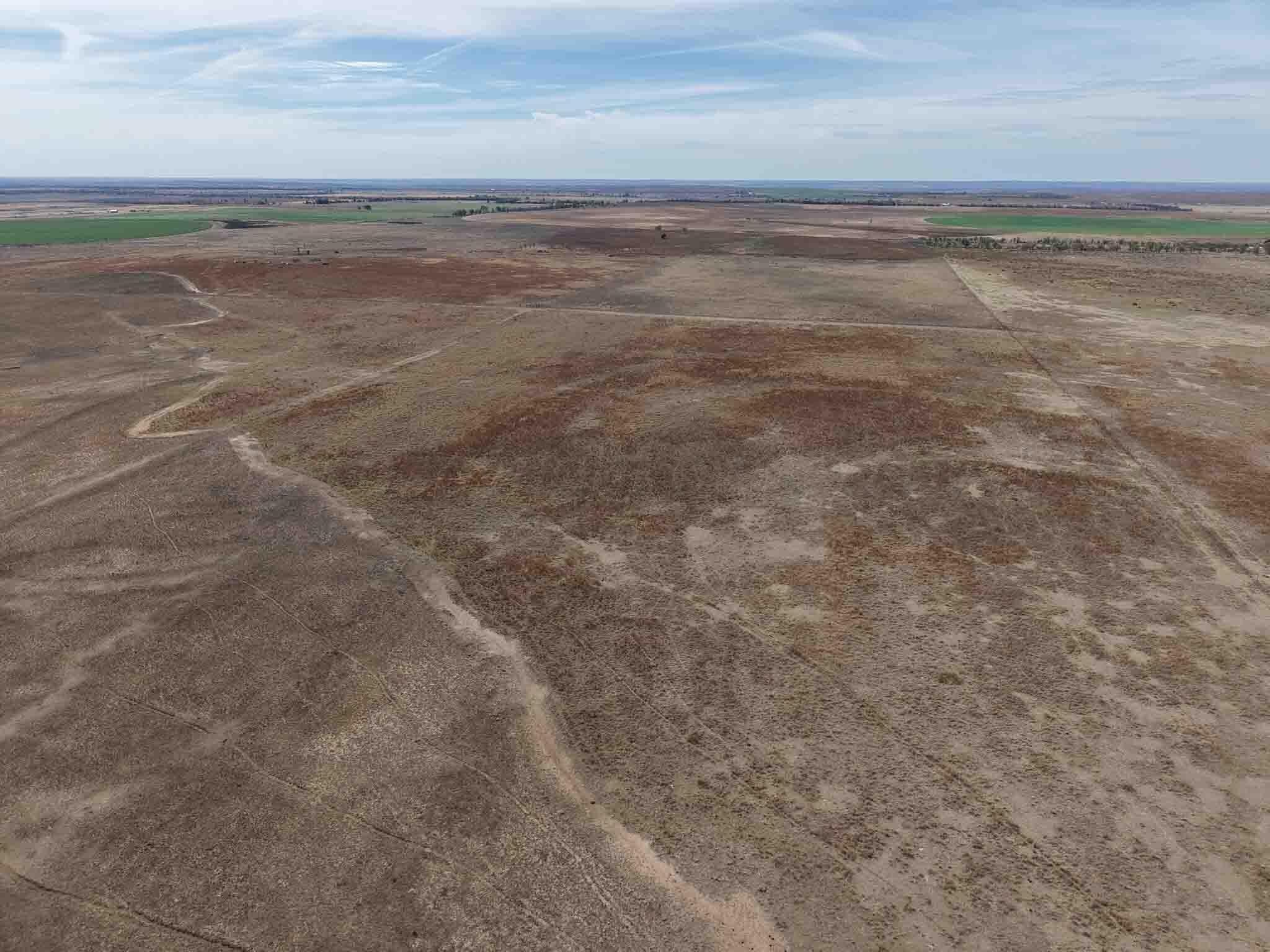 323.2 acres in Wheeler County - photo 21
