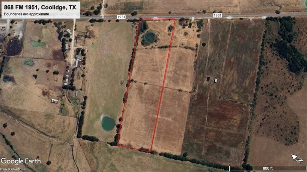 11.94 acres in Limestone County gallery image 2