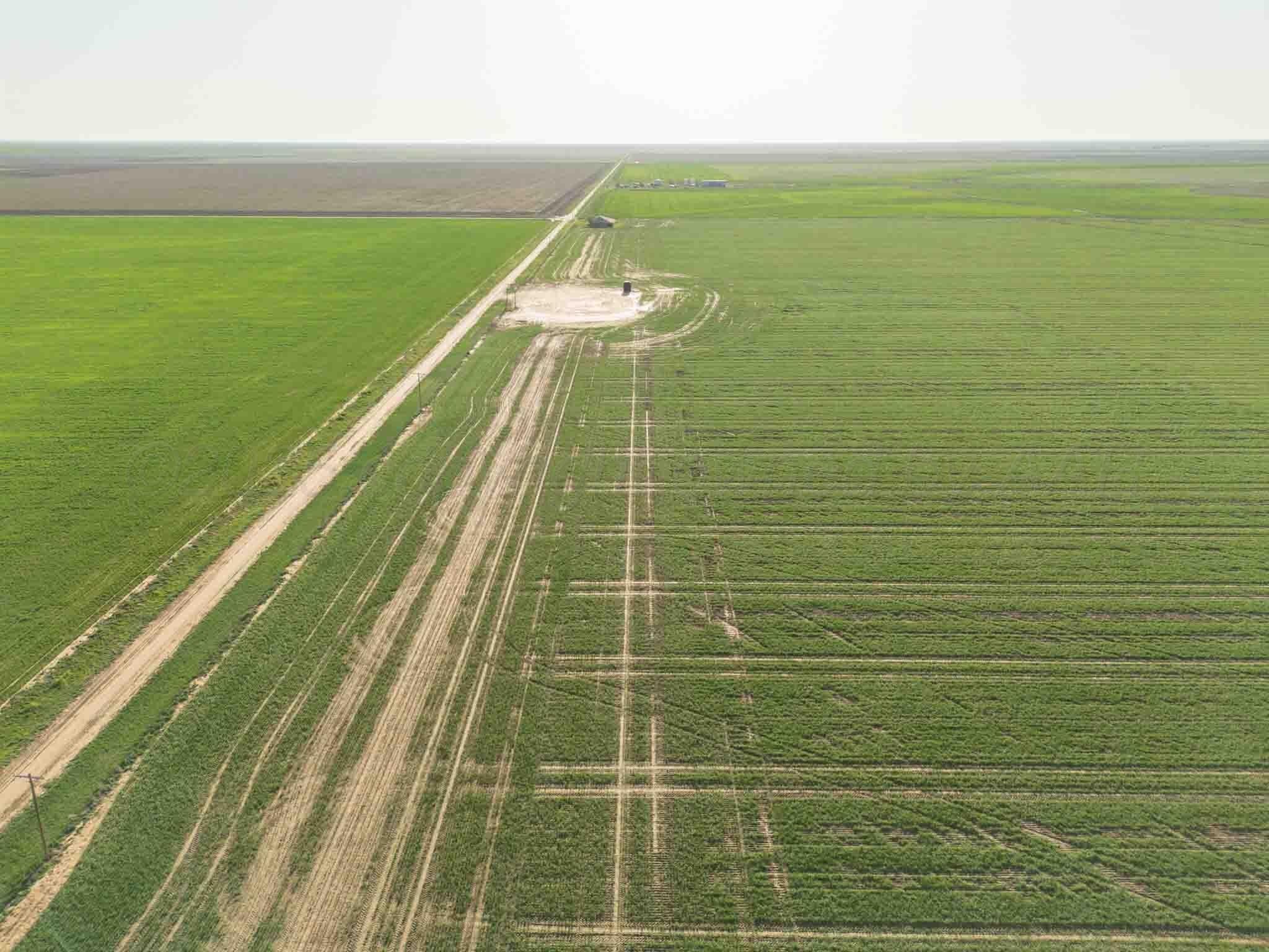 665.8 acres in Randall County featured view