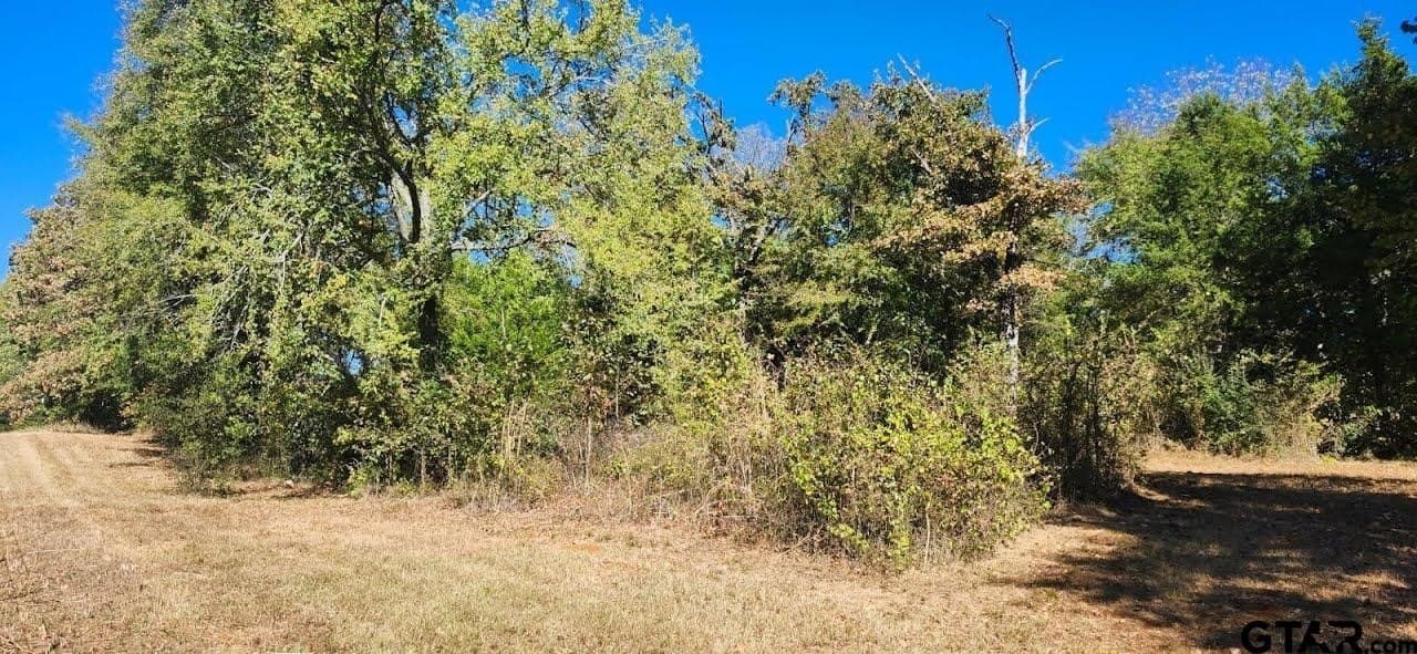 14.9 acres in Smith County gallery image 4