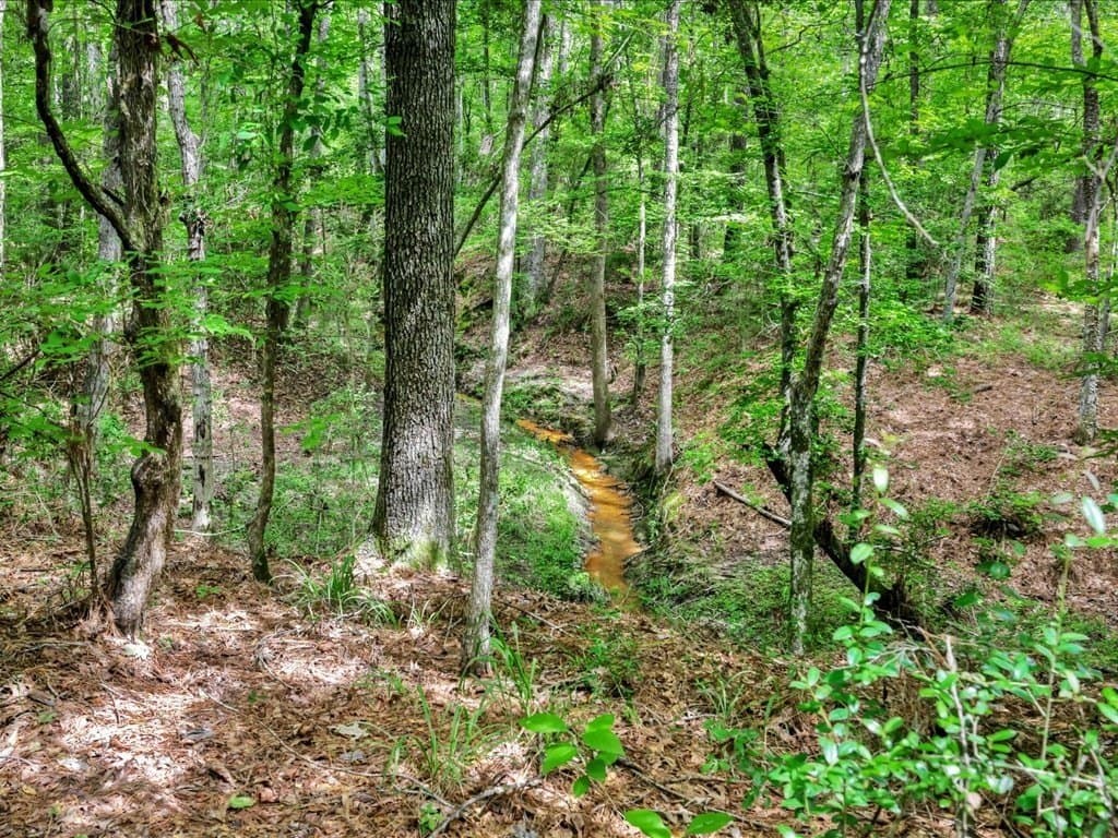 22 acres in Texas County featured view